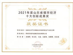 热烈：亟鹕砵s9线路中心环境集团荣获20212年度山东省循环经济十大创新成果奖