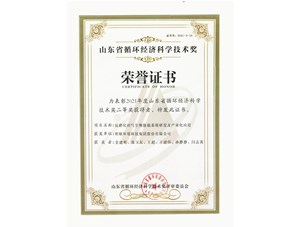 热烈：亟鹕砵s9线路中心环境集团获得2021年度山东省循环经济科学技术奖二等奖