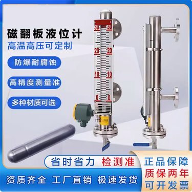 顶装式磁性浮球液位计